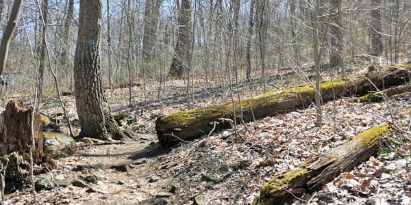 musconetcong gorge preserve